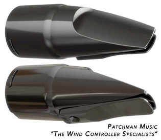 Roland Aerophone AE-10 mouthpiece reed replacement cap cover wind controller AE10 windsynth EWI at Patchman Music
