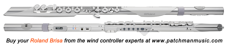 Roland Aerophone Pro Brisa AE-Brisa AE-30 AE30 AE-20 AE20 AE-20SC AE20-SC GO AE-05 AE05 AE-10G AE 10G AE10-G AE-10 Wind Controller AE10 gig rig wx5 EWI4000s WX5 EWI5000 Patchman Music