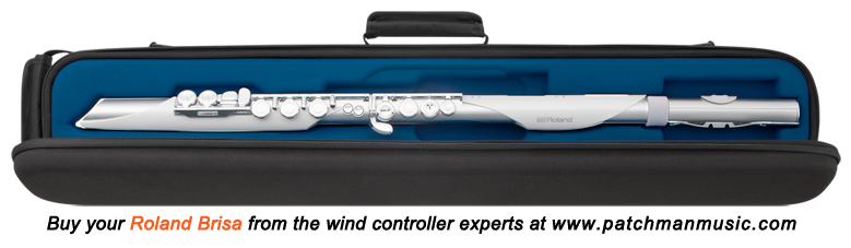 Roland Aerophone Pro Brisa AE-Brisa AE-30 AE30 AE-20 AE20 AE-20SC AE20-SC GO AE-05 AE05 AE-10G AE 10G AE10-G AE-10 Wind Controller AE10 gig rig wx5 EWI4000s WX5 EWI5000 Patchman Music