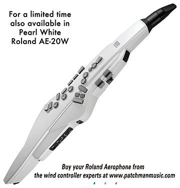 Roland Aerophone AE-20 AE20 AE-30 AE30 AE 20 AE 30 GO AE-05 AE05 AE-10G AE 10G AE10-G AE-10 Wind Controller AE10 gig rig wx5 EWI4000s WX5 EWI5000 Patchman Music